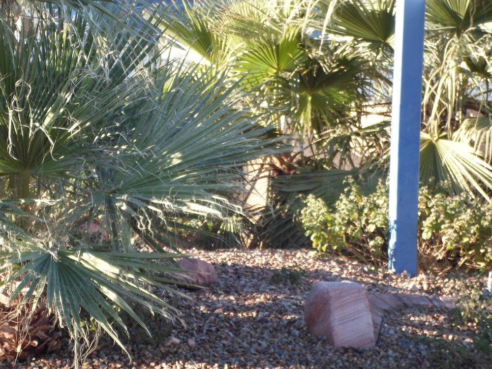 6 Vegas, Nv - Strip 4*